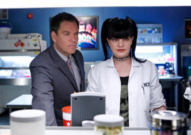 Inside Pauley Perrette’s Life After Hollywood: Where Is She After 'NCIS'?