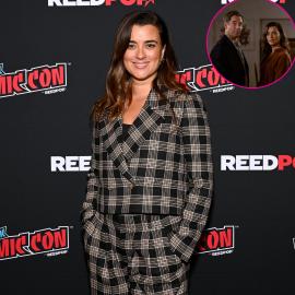 What Cote de Pablo Wants to See on 'NCIS: Tony and Ziva' Season 2