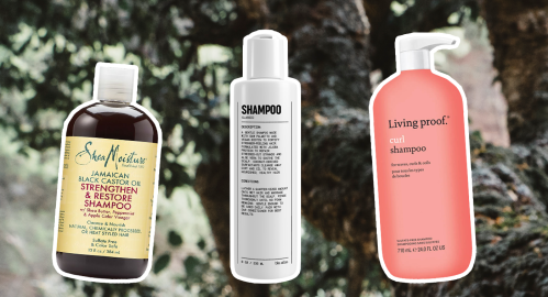 The Best Shampoos for Men With Curly Hair