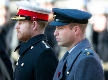 A Royal Rift! Prince William, Prince Harry's Feud: A Complete Timeline