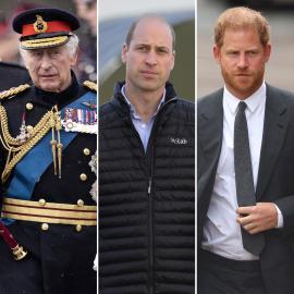 Proud Dad! King Charles Commends William and Harry for Military Training