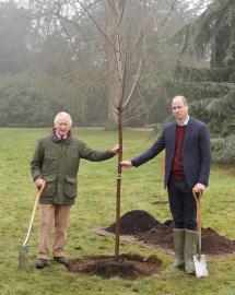 King Charles Ends His Late Mother Queen Elizabeth’s Green Canopy Project