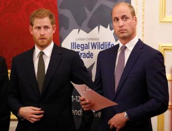 Prince Harry and Prince William's Communication Has Been 'Radio Silence'