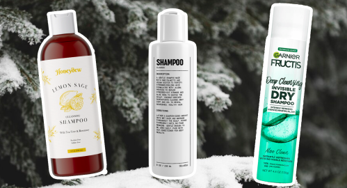 The Best Shampoos for Oily Hair and Dandruff