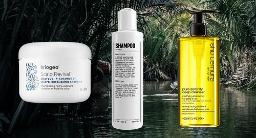 11 Best Shampoos for Thin, Oily Hair