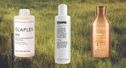 16 Best Shampoos For Straight Hair in 2023