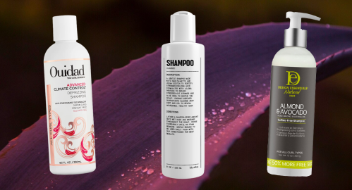 16 Best Shampoos for Curly Hair