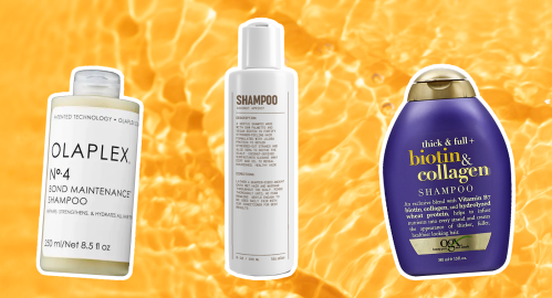 11 Best Shampoos for Dry, Damaged Hair With Split Ends