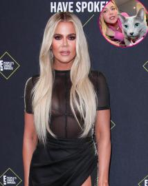 Claws Out! Khloe K. Shuts Down Troll Who Claims She'll 'Give Away' Her Cat