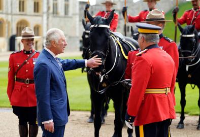 Saddle Up! Meet King Charles’ 8 Horses Taking 'Center Stage' at Coronation