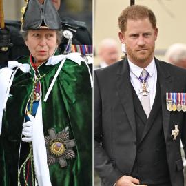 Sweet Chat! Prince Harry, Princess Anne Are All Smiles at Charles' Coronation