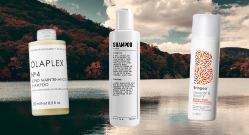 25 Best Shampoos for Every Hair Type