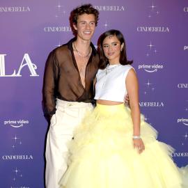 VIPs Only! See Shawn and Camila Living Their Best Life at Taylor's 'Eras'