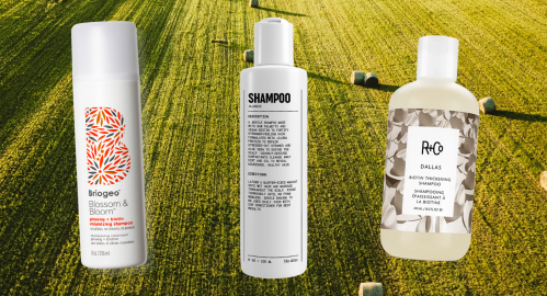 13 Best Biotin Shampoos in 2023