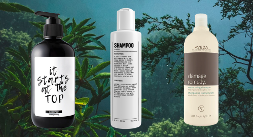 The Best Natural Shampoos and Conditioners