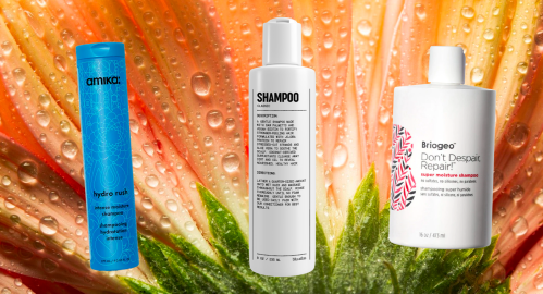 22 Best Shampoos and Conditioners for Dry Hair