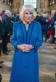 Queen Consort Camilla Is 'Nervous' About Coronation, Says Royal Expert