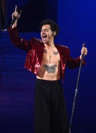 Harry Styles Heroically Stalls Concert for Pregnant Fan to ‘Go for a Wee’