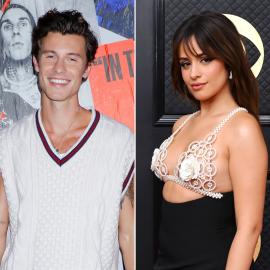 Is Shawn's 'What the Hell Are We Dying For' About Camila? Lyric Breakdown