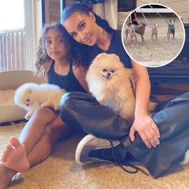 ~Keep Up~ With Every Kardashian-Jenner Family Pet: See Adorable Photos