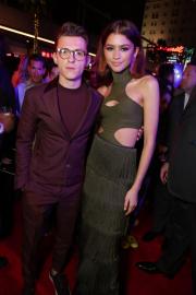 Zendaya and Tom Holland's Rare Photos: See the Cute Couple