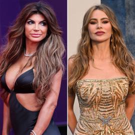 Teresa Giudice Explains Why Sofia Vergara Is the 'Rudest Woman' She Ever Met