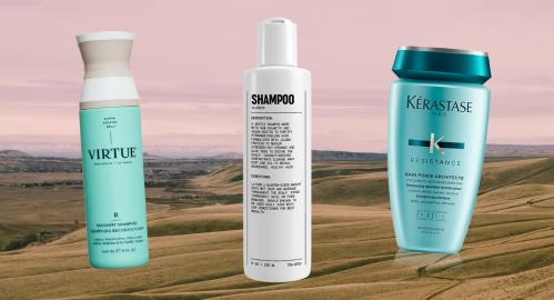 13 Best Shampoos for Dry, Damaged Hair