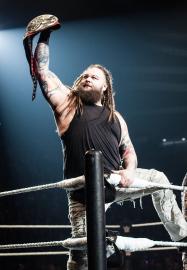 WWE Superstar Bray Wyatt Dead at 36