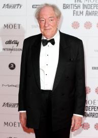 Harry Potter’s Dumbledore Sir Michael Gambon Dead at 82