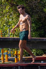 You're Welcome: Harry Styles Flashes Ridiculously Toned Abs While Swimming