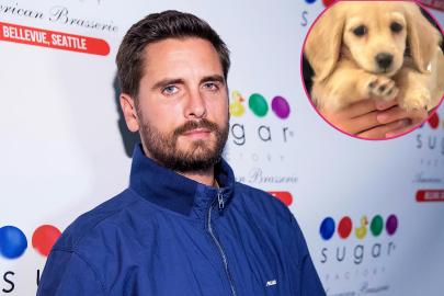 Scott Disick Gives Daughter Penelope Golden Retriever Puppy