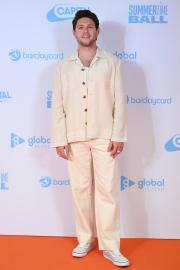Niall Horan's Net Worth Is Insane! How the One Direction Alum Makes Money