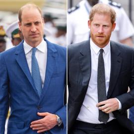 Prince William ‘No Longer Even Recognizes’ Brother Prince Harry, Book Claims