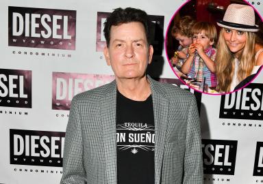 Charlie Sheen Says Brooke Mueller Is Not 'in the Picture' With Twins