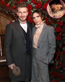 Victoria Beckham Gifts David Beckham Chickens for Christmas