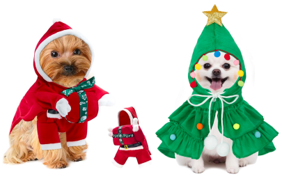 These 15 Cutest Pet Christmas Outfits Are Paws-Itively Perfect