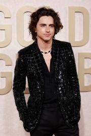 Timothee Chalamet Sparkles in Sequins at Golden Globes Without Kylie Jenner