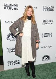 Mad for Plaid! Channel Laura Dern’s Coat With This Amazon Pick