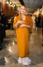 Celine Dion Makes Surprise Appearance at 2024 Grammy Awards