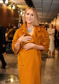 Celine Dion Makes Surprise Appearance at Grammys During Health Battle