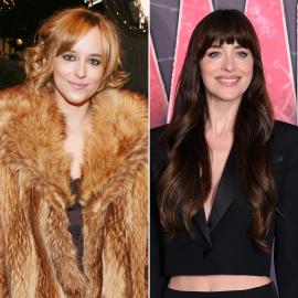 Has Dakota Johnson Had Plastic Surgery? Her Transformation in Photos