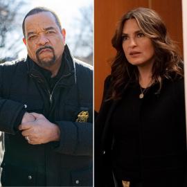 Fin Proves He 'Always' Has Captain Olivia Benson's Back in 'SVU' Clip