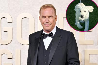 Kevin Costner Debuts His Adorable New Puppy: 'I'm Already in Love'