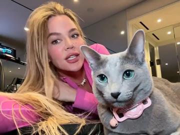 Khloe Kardashian Accused of FaceTuning Her Cat 