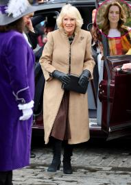 Queen Camilla Holds 'Send Love to Kate' Sign at Event After Cancer News