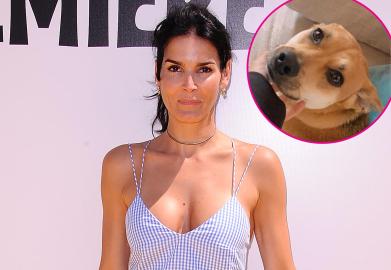 Angie Harmon Says Her Dog Was Killed by a Deliveryman Over Easter Weekend