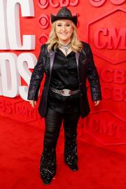 Why Melissa Etheridge's Hit 'Come to My Window' Almost Wasn't Released