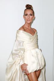 Celine Dion's Documentary About Stiff Person Syndrome Battle: What to Know