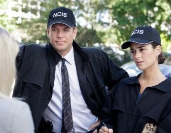 Michael Weatherly, Cote de Pablo’s 'NCIS: Tony and Ziva' Show: What to Know