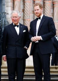 Prince Harry Declined Charles' Offer to Stay in Royal Residence: Report
